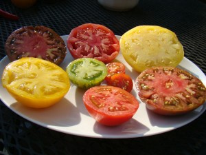 tomatoes-plate