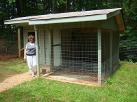 henhouse3