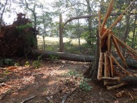 windstorm3