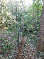 windstorm8v