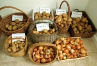potatoes