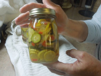pickles3